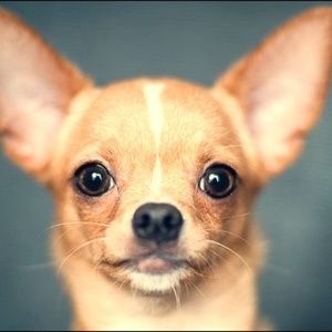 ▀▄▀▄▀▄ 𝐇𝐞𝐥𝐥𝐨! ▄▀▄▀▄▀